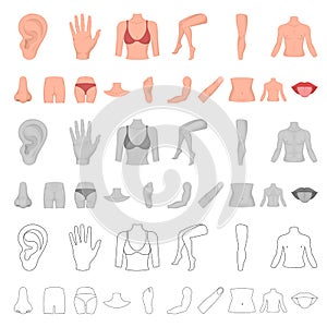 Part of the body, limb cartoon icons in set collection for design. Human anatomy vector symbol stock web illustration.