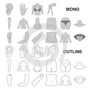 Part of the body, limb monochrom icons in set collection for design. Human anatomy vector symbol stock web illustration.