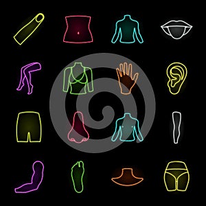 Part of the body, limb neon icons in set collection for design. Human anatomy vector symbol stock web illustration.