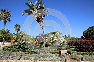 Part of the botanical garden on the grounds of La Rabida from where the discoverers of AmÃ©rica departed photo