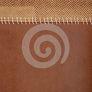 Part of brown leather fabric with reptile texture