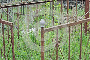 part of a brown rusty iron decorative fence made of metal rods