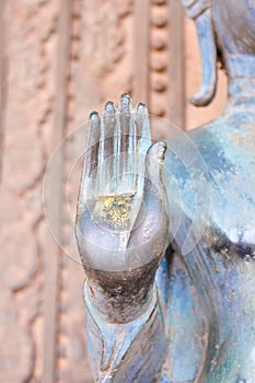 Part of buddha hand