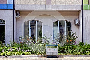 Part of a building with windows behind a flower bed with plants and a garbage can