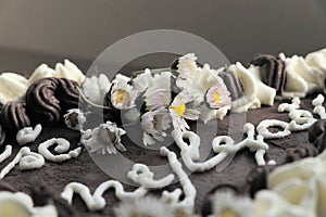 A part of chocolate cake with inscription VÃÂ¡e nejlepÃÂ¡ÃÂ­ as part of birthday gift photo