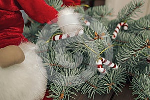 Part of the Christmas gnome against the background of a decorated blue spruce. ext to the decorated fir tree stands a dwarf in a