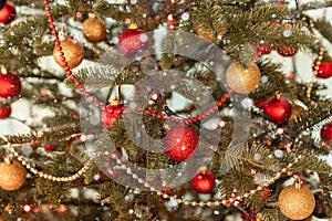 Part of a Christmas tree decorated with lights and red and gold balls