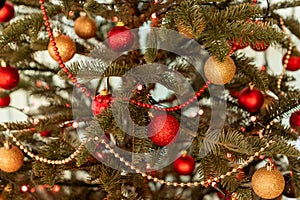 Part of a Christmas tree decorated with lights and red and gold balls