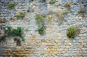 Part of citywall