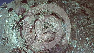 Part close up of shipwrecks Salem Express underwater in the Red Sea in Egypt.