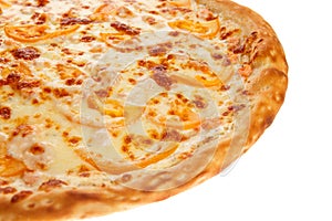 Part of delicious classic italian Pizza with Garlic sauce, shrimp and cheese