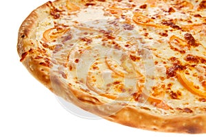 Part of delicious classic italian Pizza with Garlic sauce, shrimp and cheese