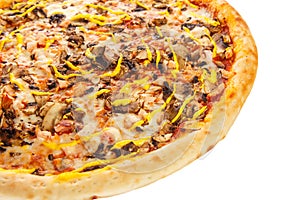 Part of delicious classic italian Pizza with spicy chicken, mushrooms and cheese.