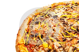 Part of delicious classic italian Pizza with spicy chicken, mushrooms and cheese.