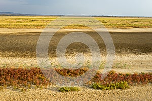 Part of the delta of river Evros, Greece