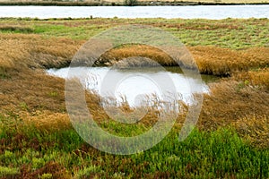 Part of the delta of river Evros, Greece