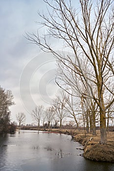 Part of the delta of river Evros, Greece