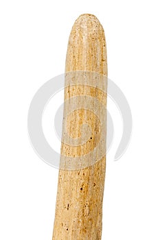 Part of driftwood isolated on white