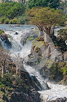 Part of the Epupa waterfalls photo