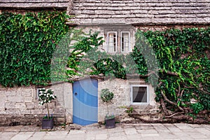Part of exterior of old house of light brick with tiled roof and low blue door. The facade of the house are entwined with green iv
