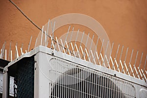 Part of the facade of the building with plastic spikes against pigeons. the design does not allow birds to sit down and shit. Vert