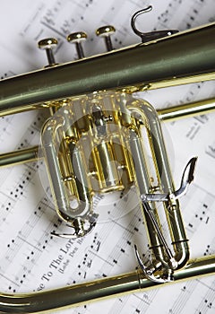Part of flugelhorn