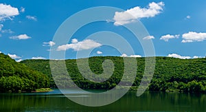 Part of the forest of the Allegheny National Forest and the Allegheny Reservoir in Warren, Pennsylvania, USA