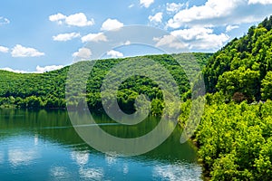 Part of the forest of the Allegheny National Forest and the Allegheny Reservoir in Warren, Pennsylvania, USA