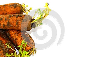 Part of fresh carrot with ground on white background