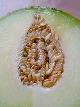 Part of fresh melon with seeds