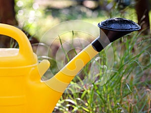 Part of the garden yellow water can for watering flowers, grass and plants in nature of garden outdoors, closeup.