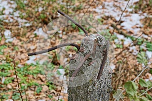 Part of a gray old concrete pillar with rusty reinforcing bars in the street