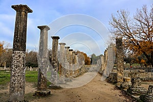 Part of the gymnasium where the ancient Olympians trained in Olympia Greece near the Temple of Zeus - the bottom half of the colum photo