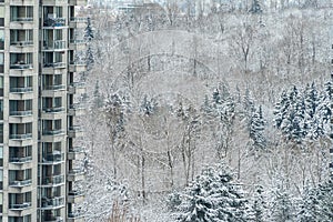 Part of high rise building on winter forest background