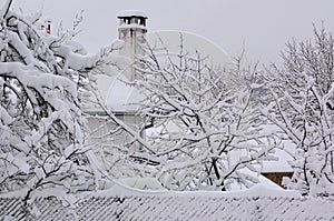 Part of the house in the park