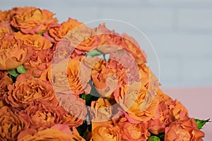 A part of huge bouquet of roses, against white brick wall background.