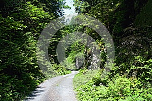Part Ilanovska valley called Gate - crossing between large rocks at the entrance to the pathway to the mountain saddle called