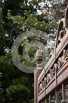 Part of the iron-gates curtained against the background of green trees. Architecture.