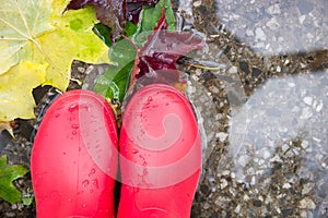 Part of legs in red rubber boots in a puddle with leaves on the