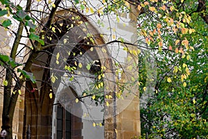 Part of Lutheran Cathedral of Saint Mary and autumn leaves in Sibiu, Transylvania, Romania