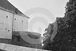 Part of medieval Cerveny Kamen Red Stone Castle near Casta village, Slovakia. Black and white filter