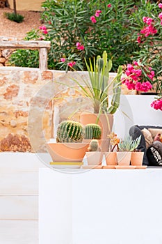 Part of mediterranean villa, a wall of sandstones, decorative cacti of various shapes and varieties in pots in the foreground,