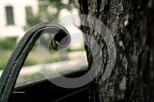 Part of the metal bench is wrapped in a hook near the canteen of a large tree trunk.