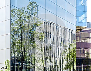 Part of modern corporate buildings from glass with reflections of green trees. Green building concept