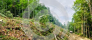Part of a mountain slope during trees cut down