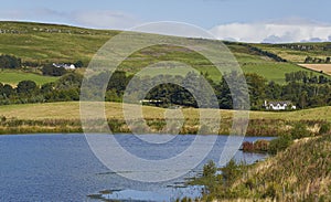 Part of Murton Lochs Nature Reserve, an old Gravel Quarry near Forfar that has been taken back to nature