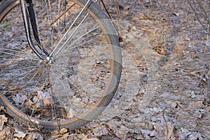 part of an old bicycle with a rusty wheel