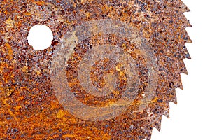 Part of old rusty circular saw blade