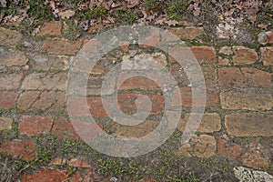old sidewalk made of brown dirty bricks