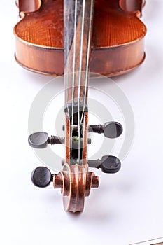Part of old violin on white background.